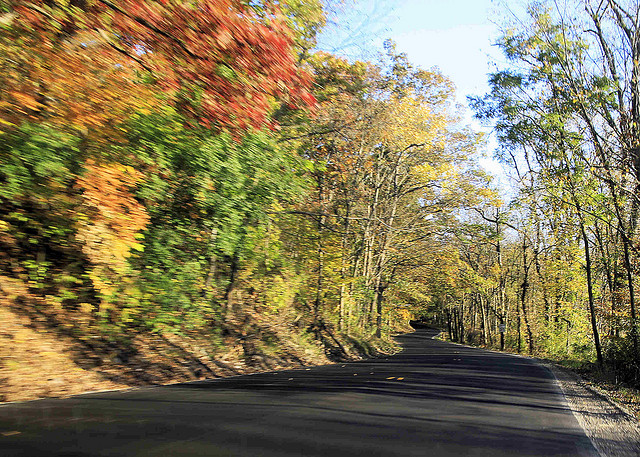 Driving This Fall Massdrive Blog